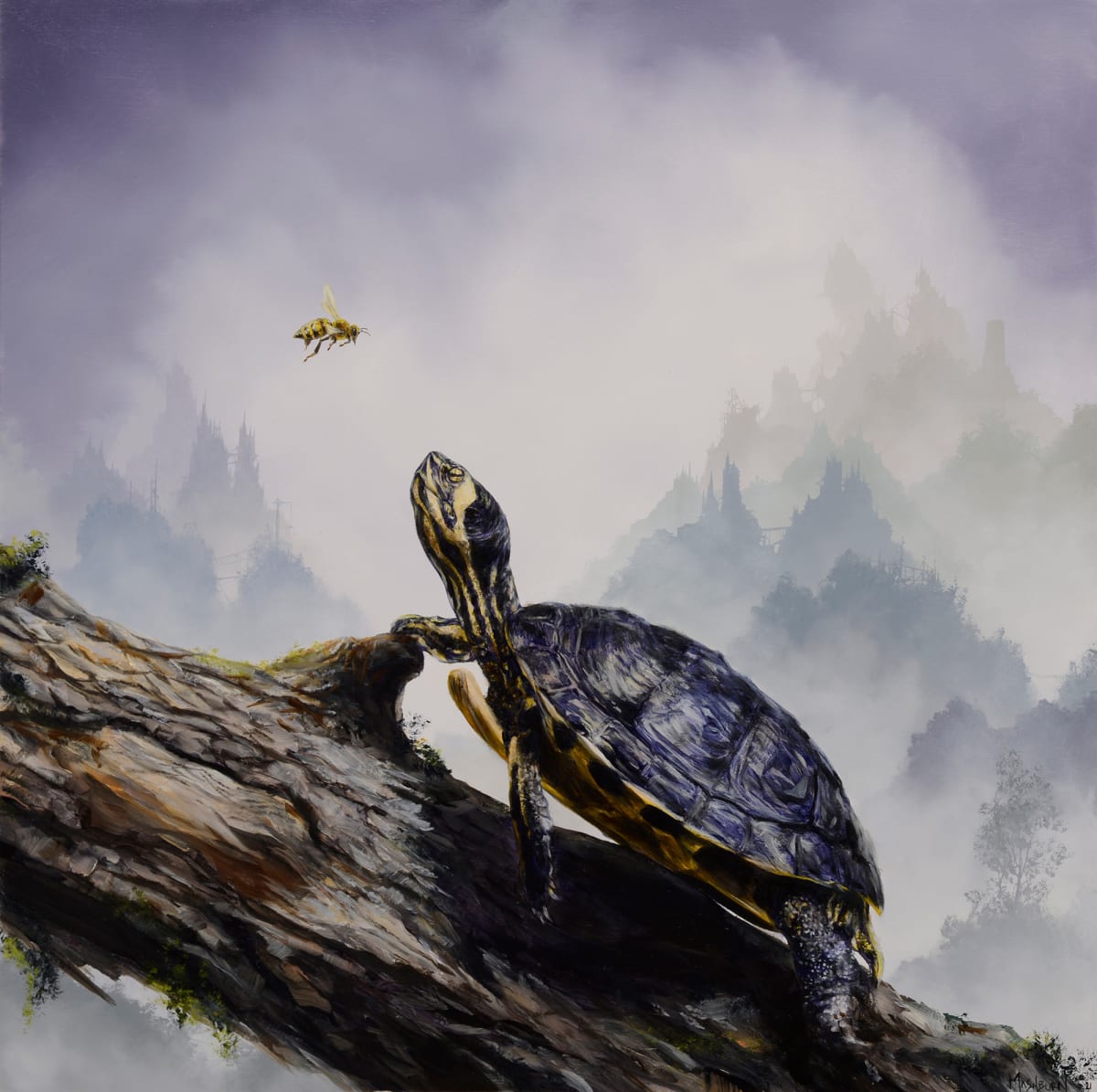 Box Turtle and Honeybee by Brian Mashburn 