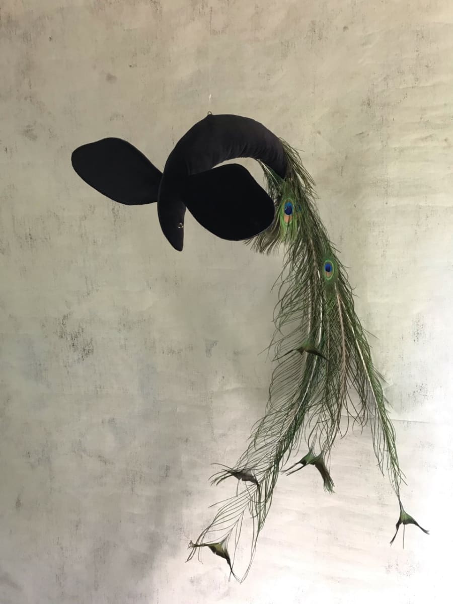 Can’t Belong by Larysa Bernhardt 