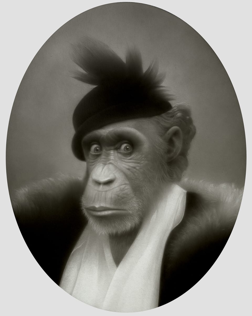 Dinner at Ape by Travis Louie 