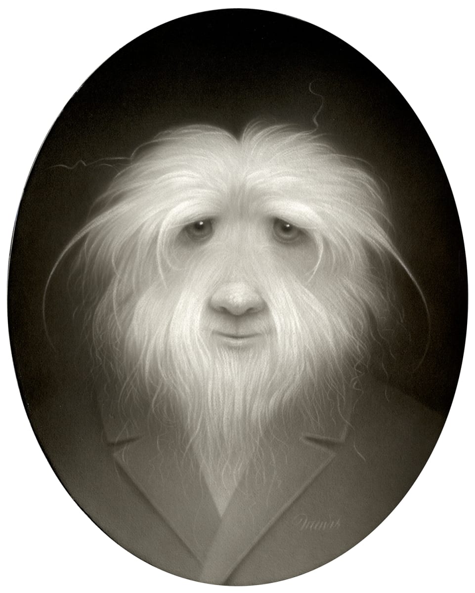 The Fuzz by Travis Louie 