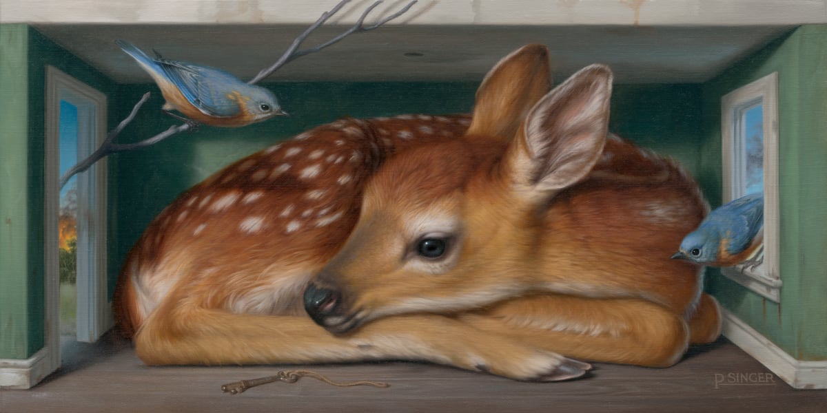 HAVEN by Phillip Singer 