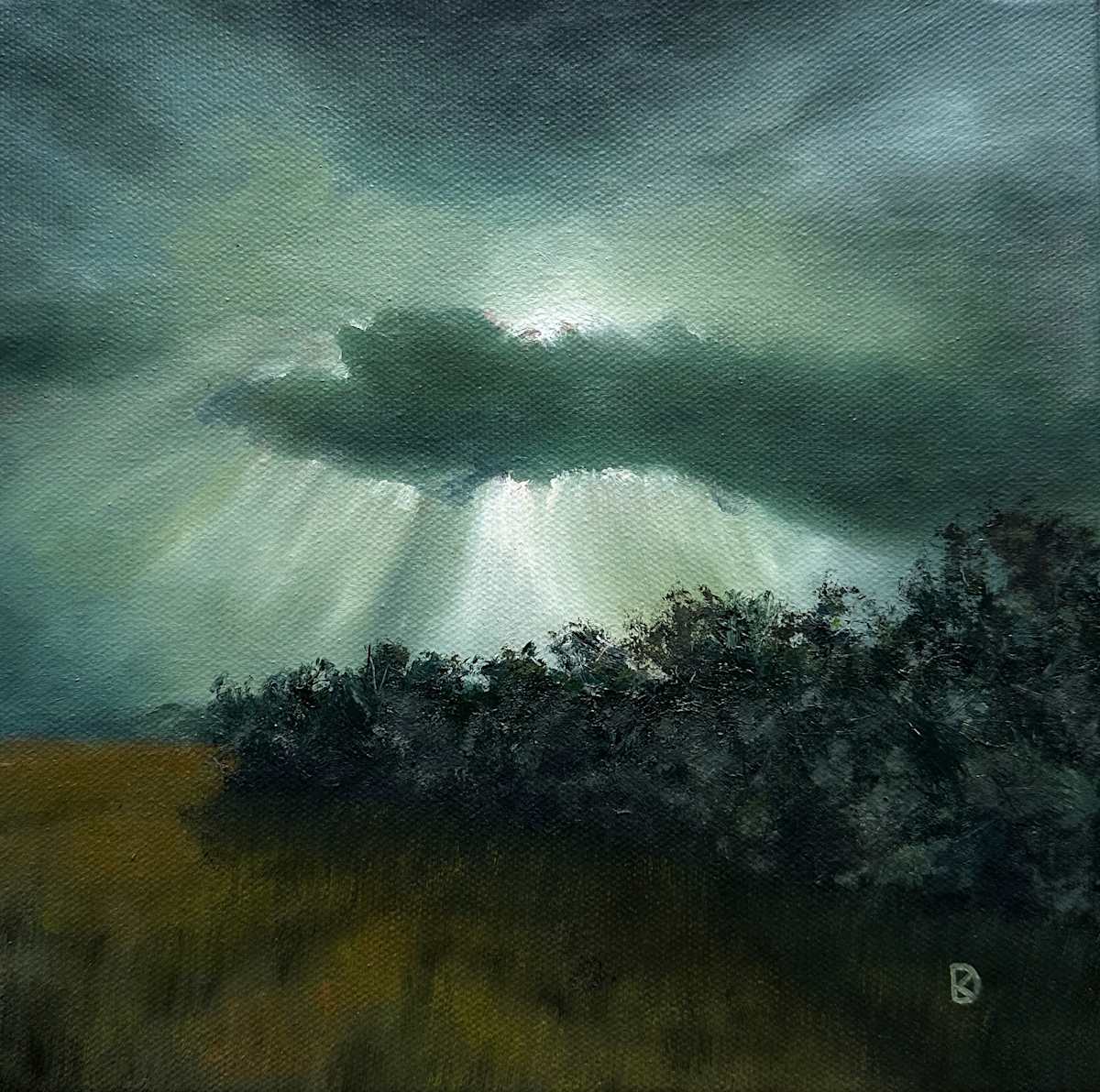 Not the Hope, but the Knowing by Kayla DeVito 