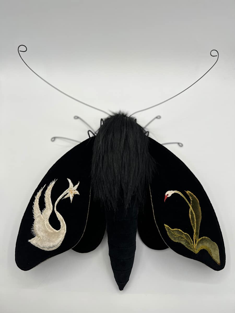 Flora Becoming Fauna by Larysa Bernhardt 