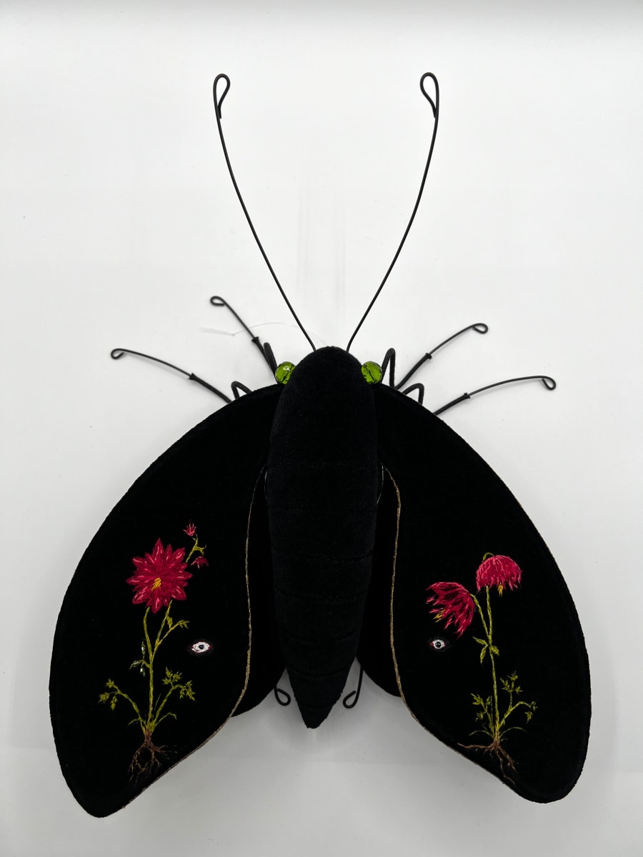 Wild Columbine by Larysa Bernhardt, Image 1.