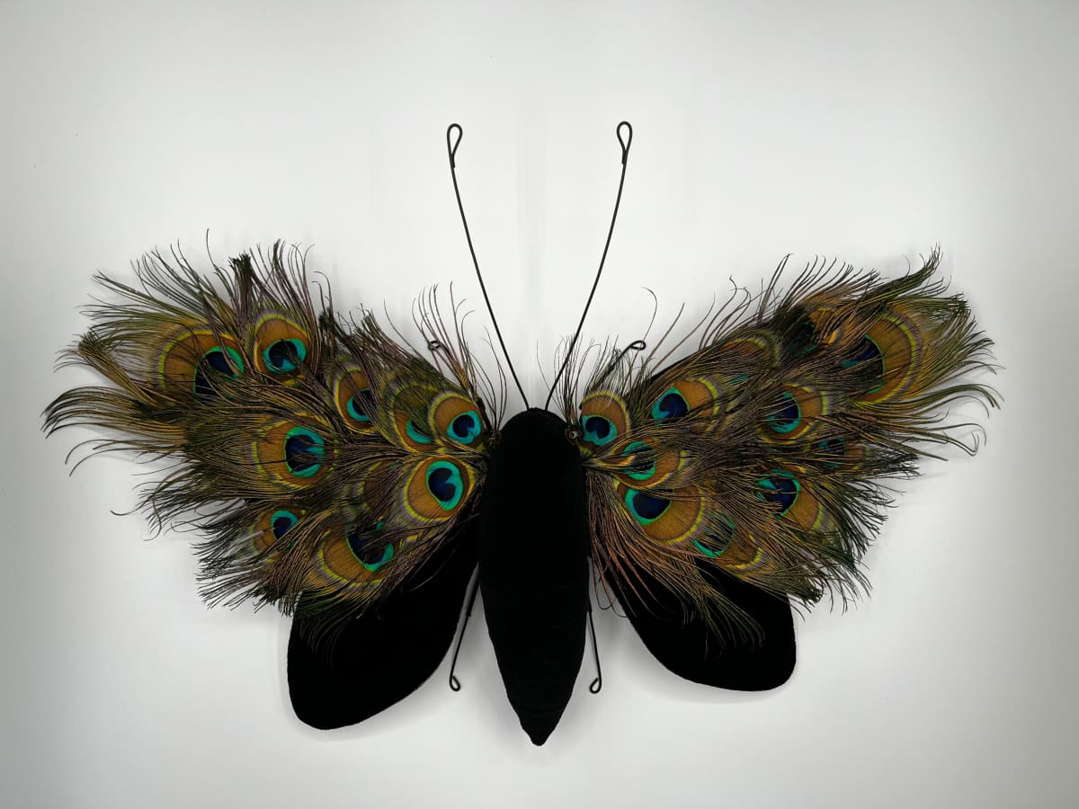 Peacock Butterfly by Larysa Bernhardt 