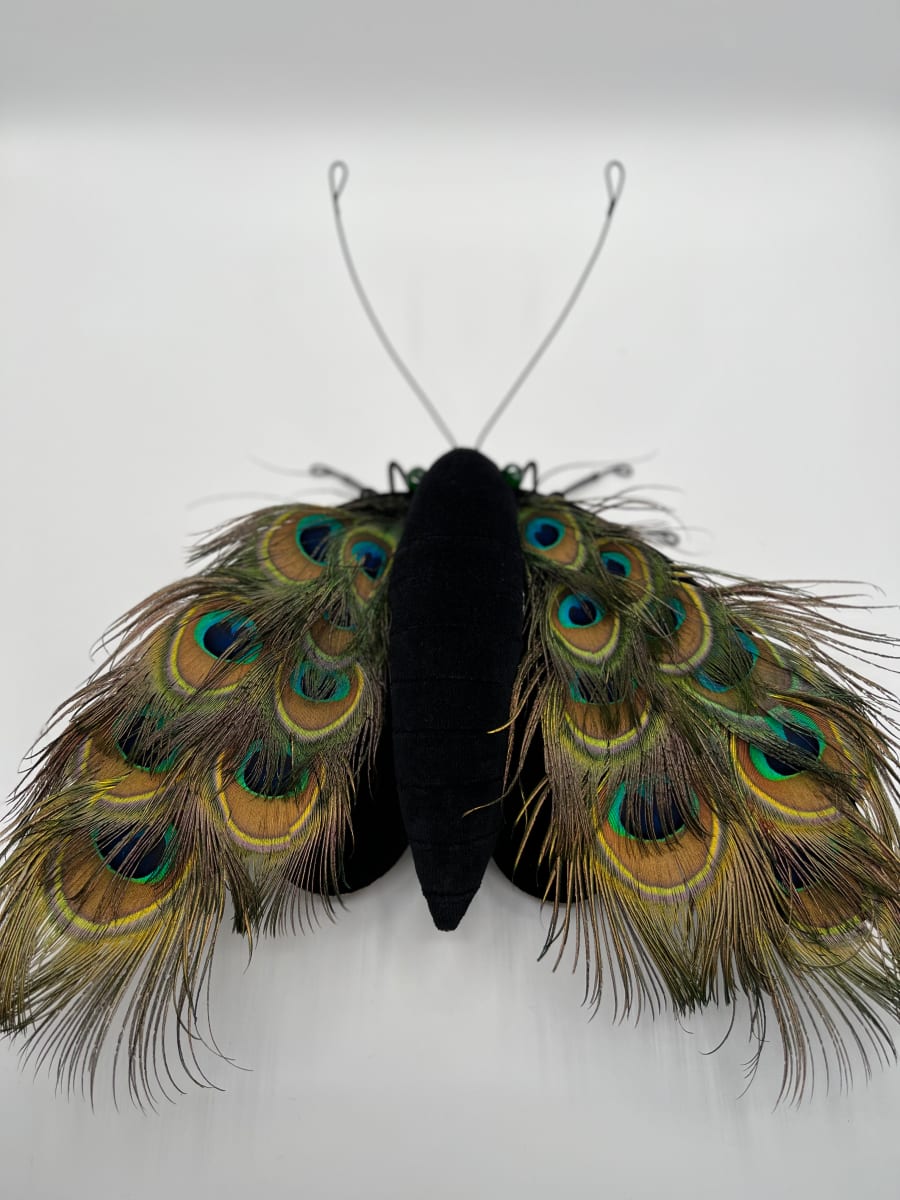 Peacock Moth by Larysa Bernhardt 