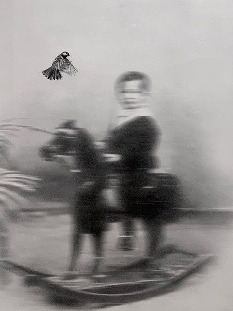 boy and bird out of focus by Zoé Byland 