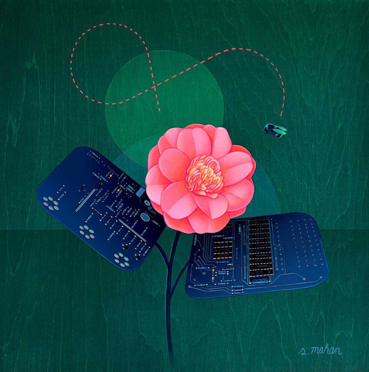 Passive Resistor by Sean Mahan 