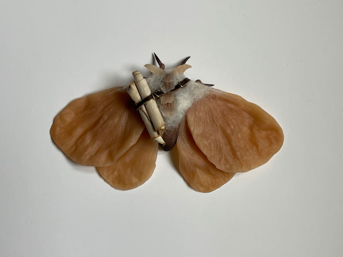 Seeker by Cheryl Lee, Image 1.