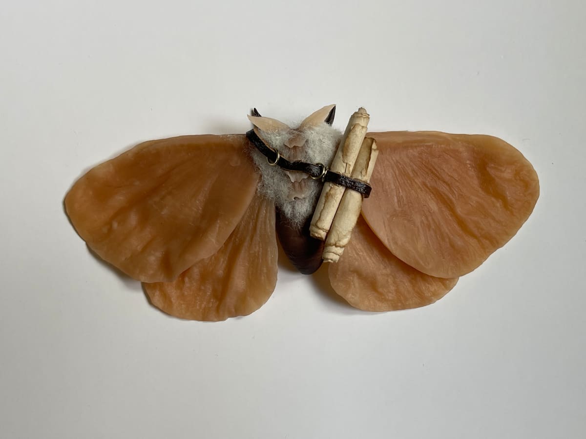 Whisperer by Cheryl Lee 