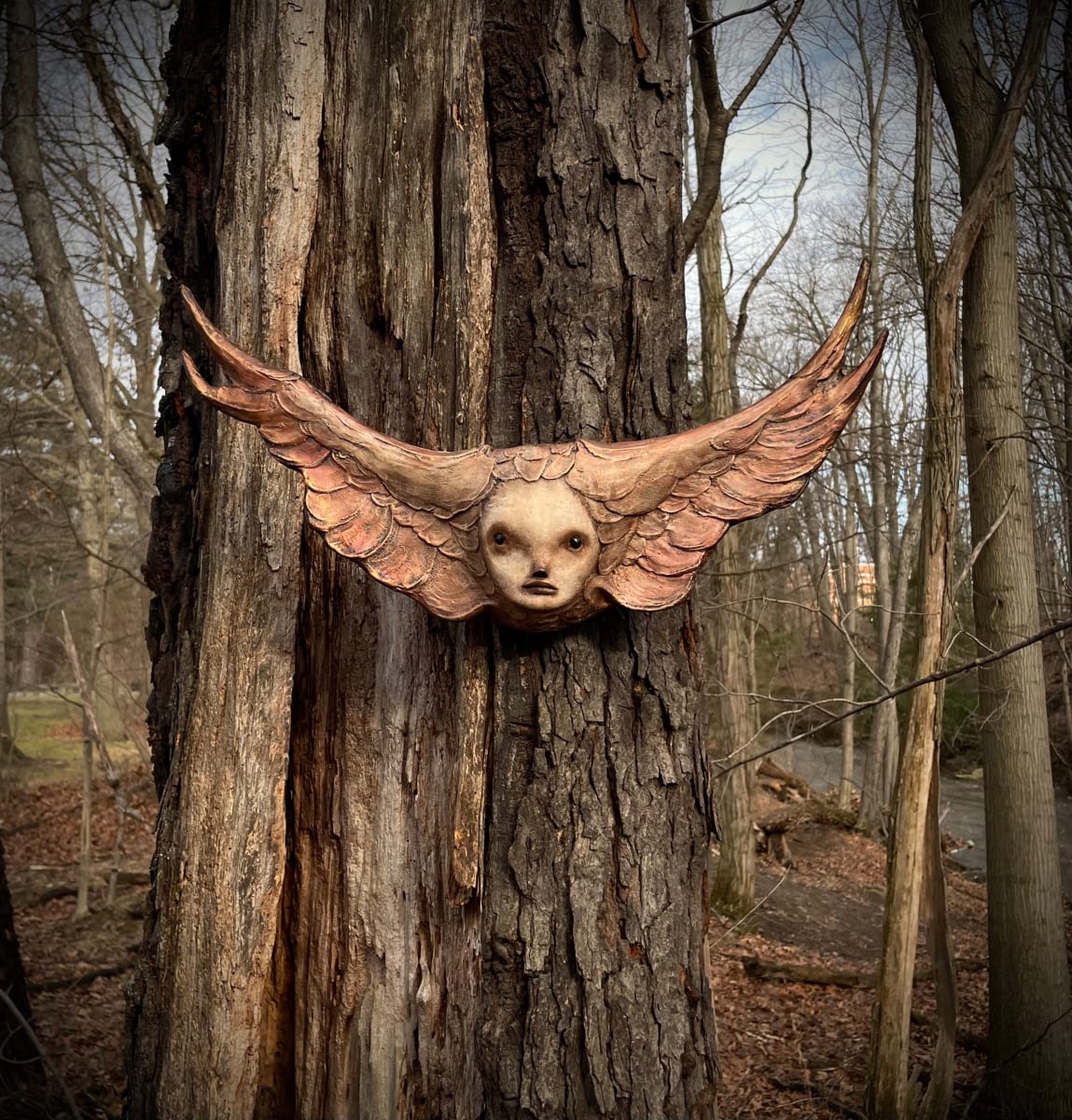 Harmony by Scott Radke 