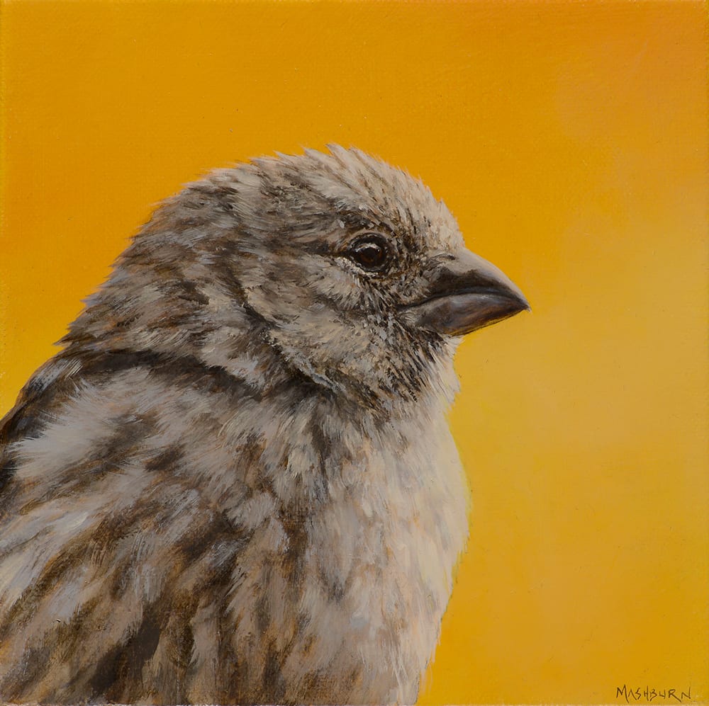 Jean Louise by Brian Mashburn 