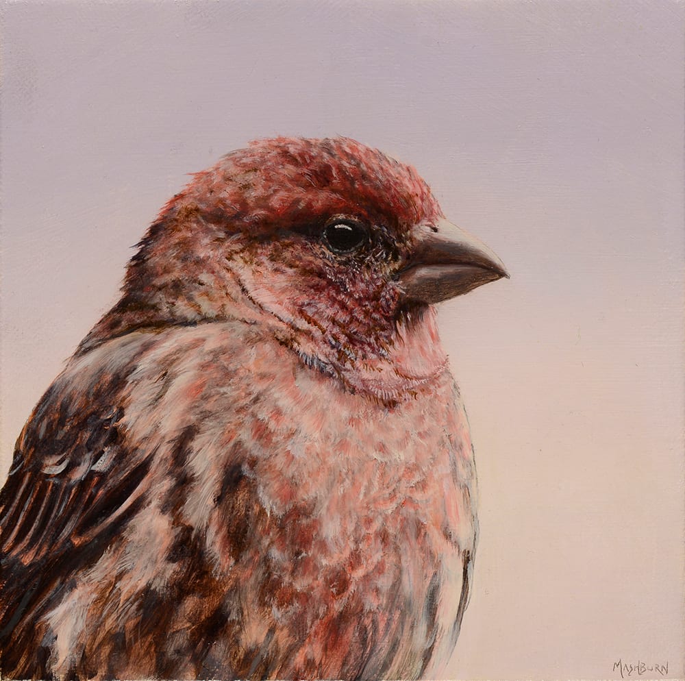 Jem by Brian Mashburn 