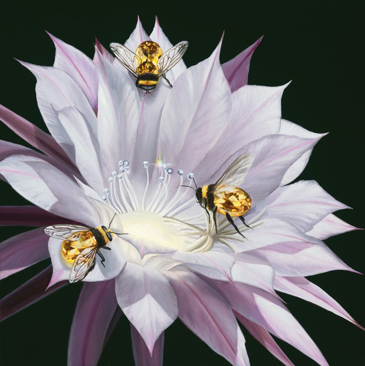 Antherine by Jon Ching 