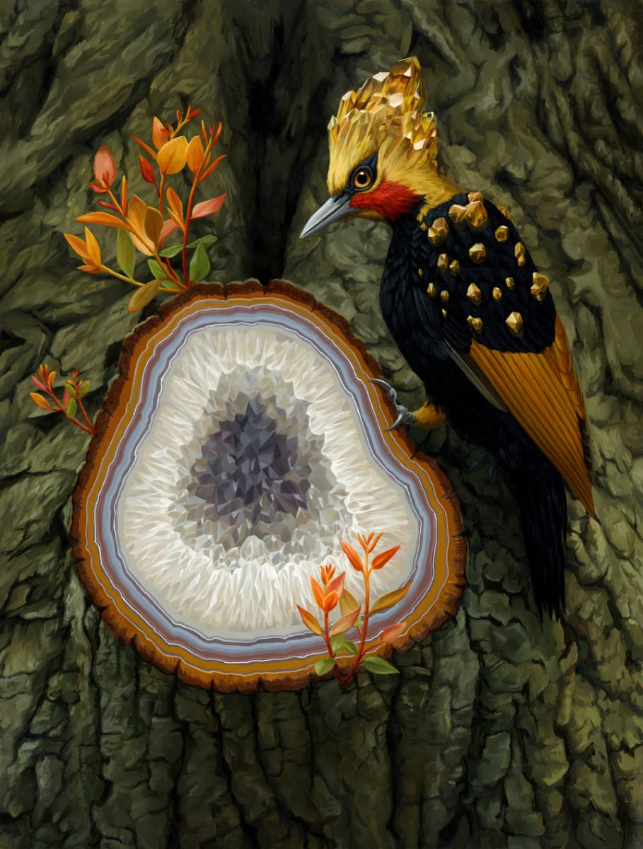Petrified Emergence by Jon Ching, Image 1.
