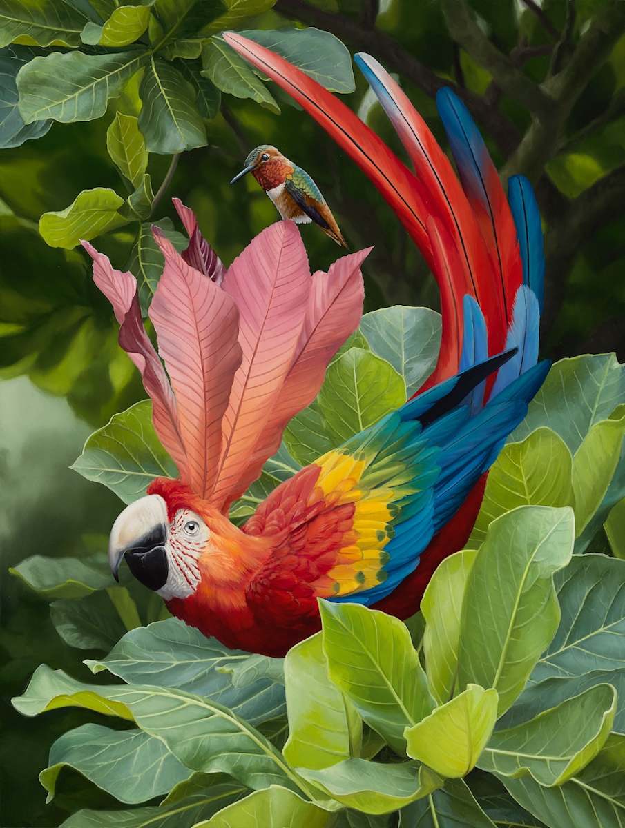 Pura Vida by Jon Ching, Image 1.