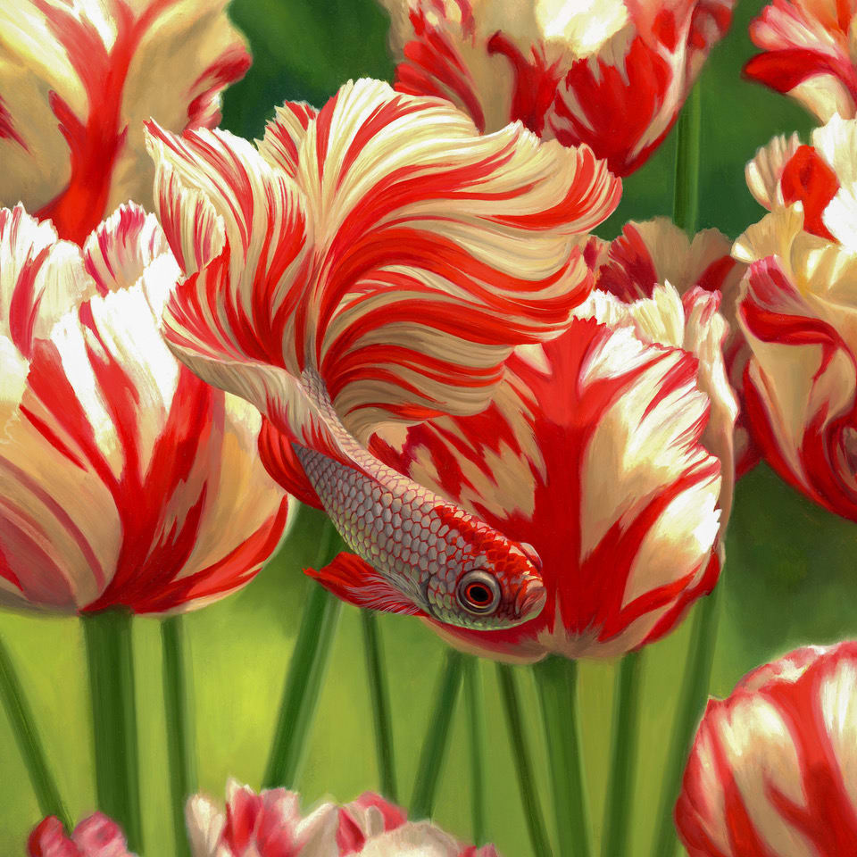 Razzle Dazzle by Jon Ching, Image 1.