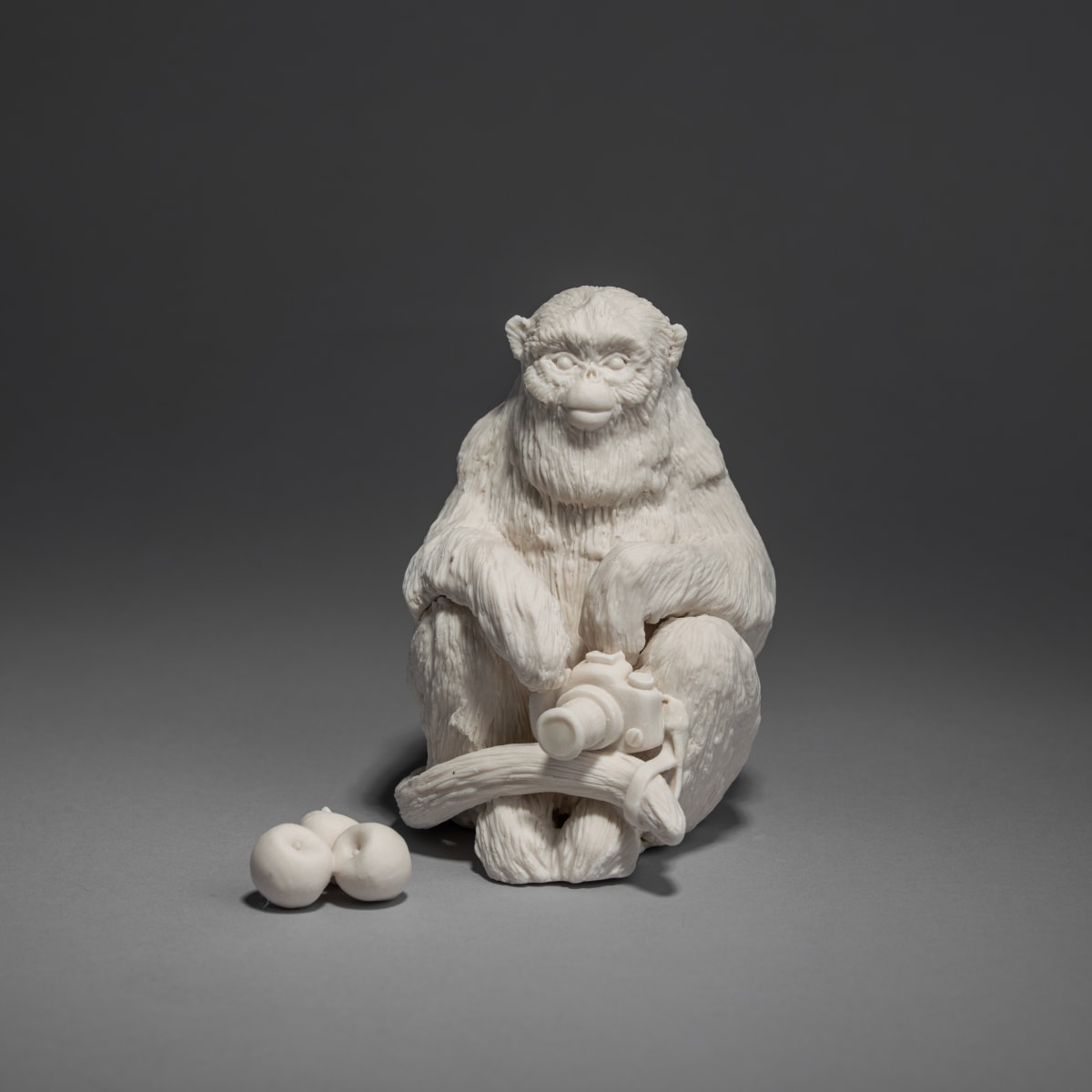 Meme Monkey by Kate MacDowell 