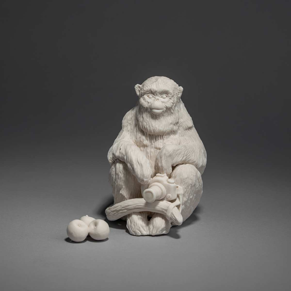 Meme Monkey by Kate MacDowell, Image 13.
