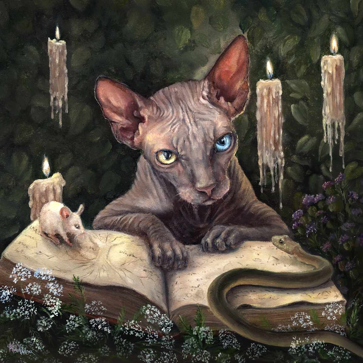 Mortimer by Kyra Wilson, Image 3.
