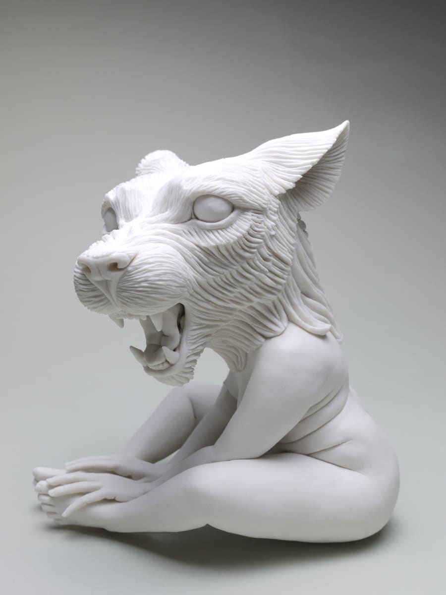 Infinitely Bound: Wild Cat Adaptation by Crystal Morey, Image 7.