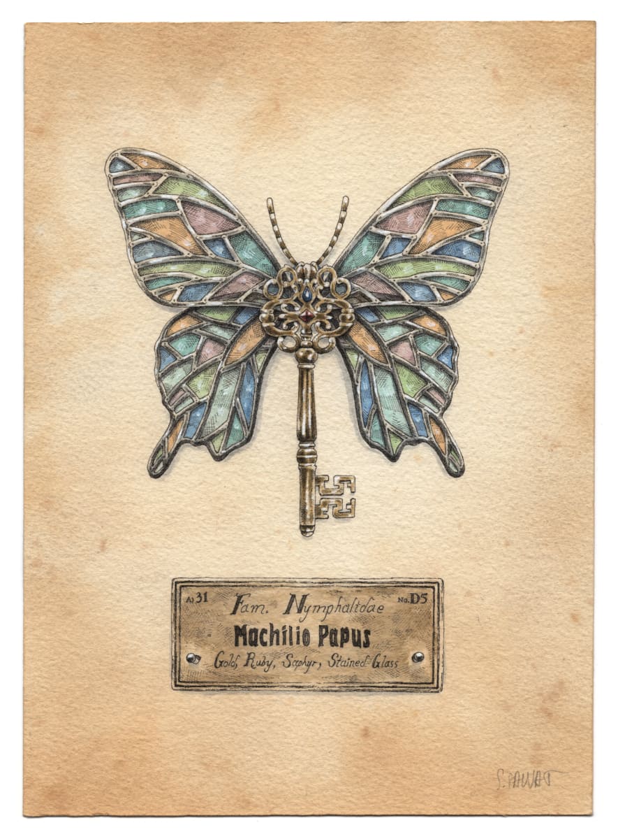 Machilio Papus by Steeven Salvat, Image 1.
