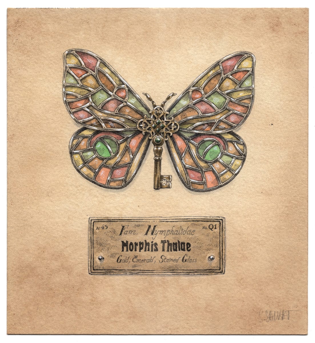 Morphis Thalae by Steeven Salvat, Image 1.