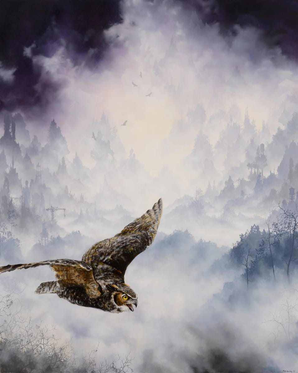 Owl in Flight by Brian Mashburn 