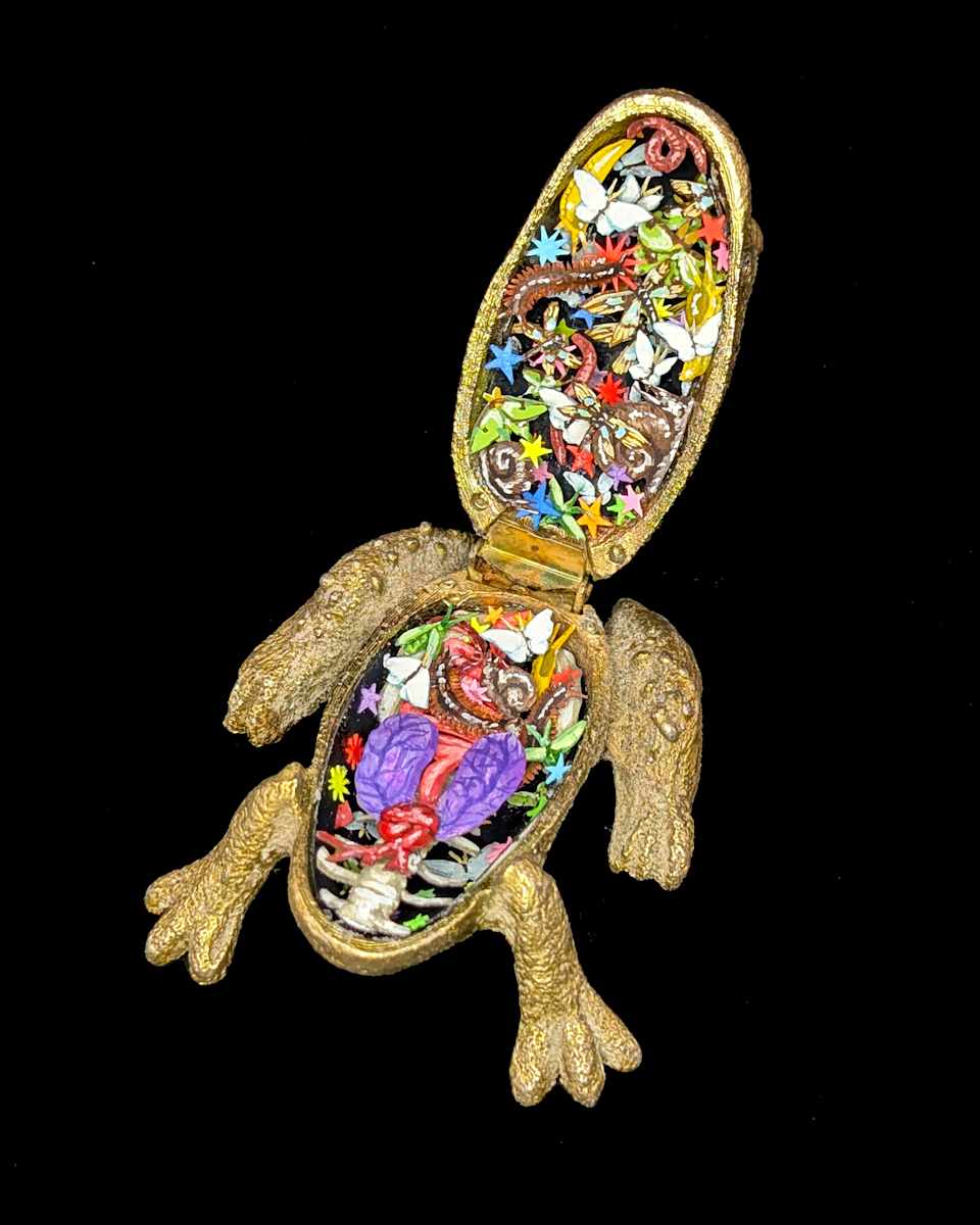 Full of Stars and Bugs by Shannon Taylor, Image 1.