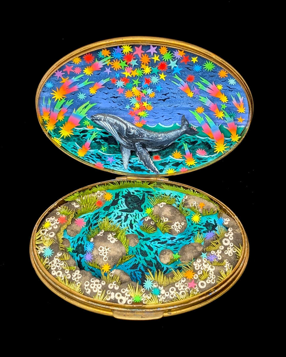 How Starfish Are Made by Shannon Taylor 