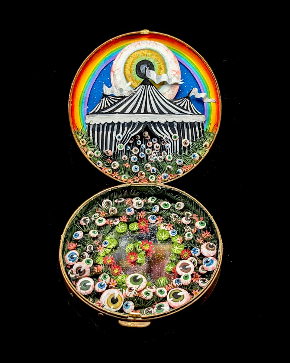 Eyeball Circus by Shannon Taylor 