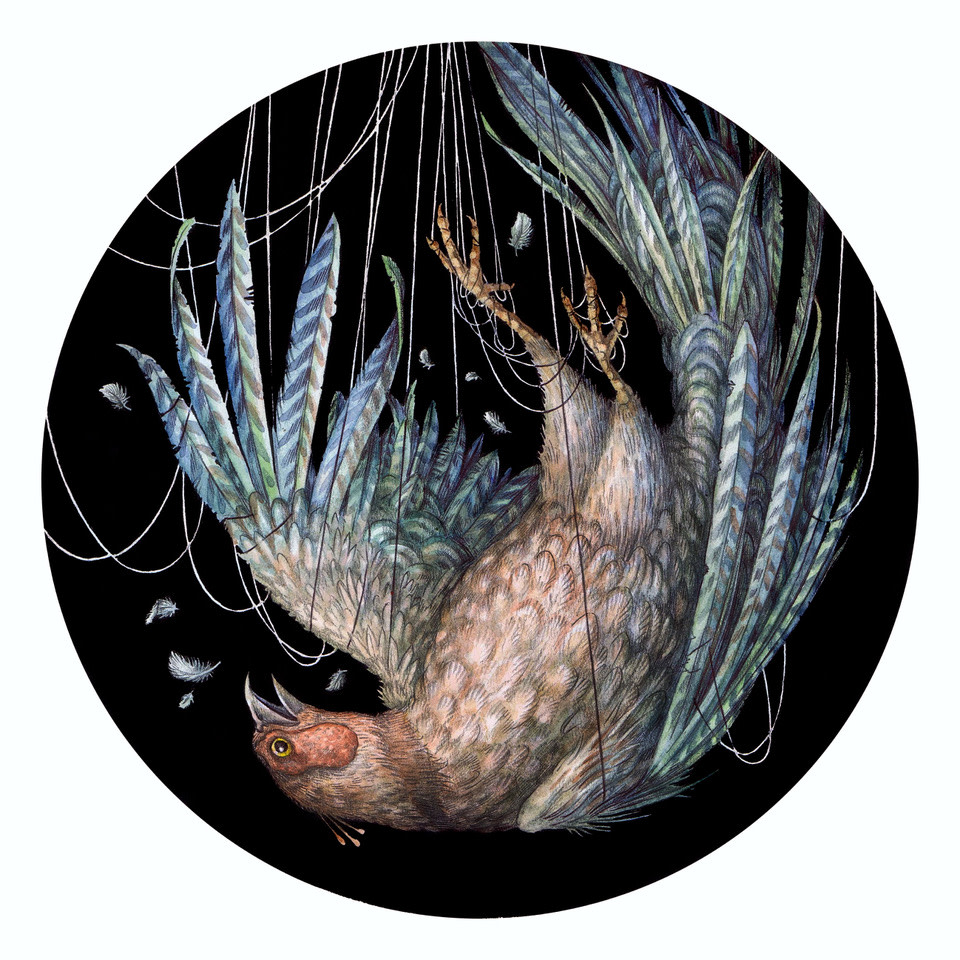 Strange Bird by Adam Oehlers 