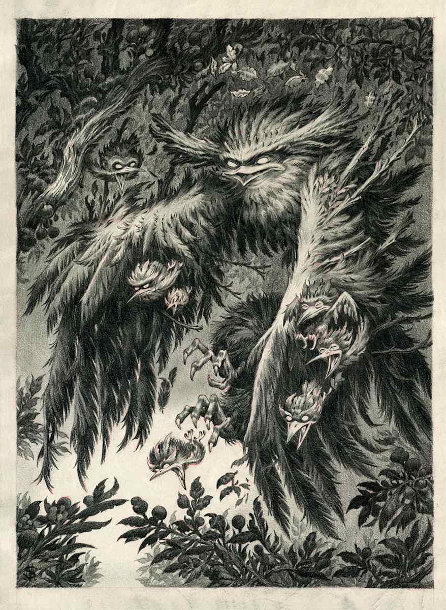 Strigidae by Stan Manoukian, Image 1.