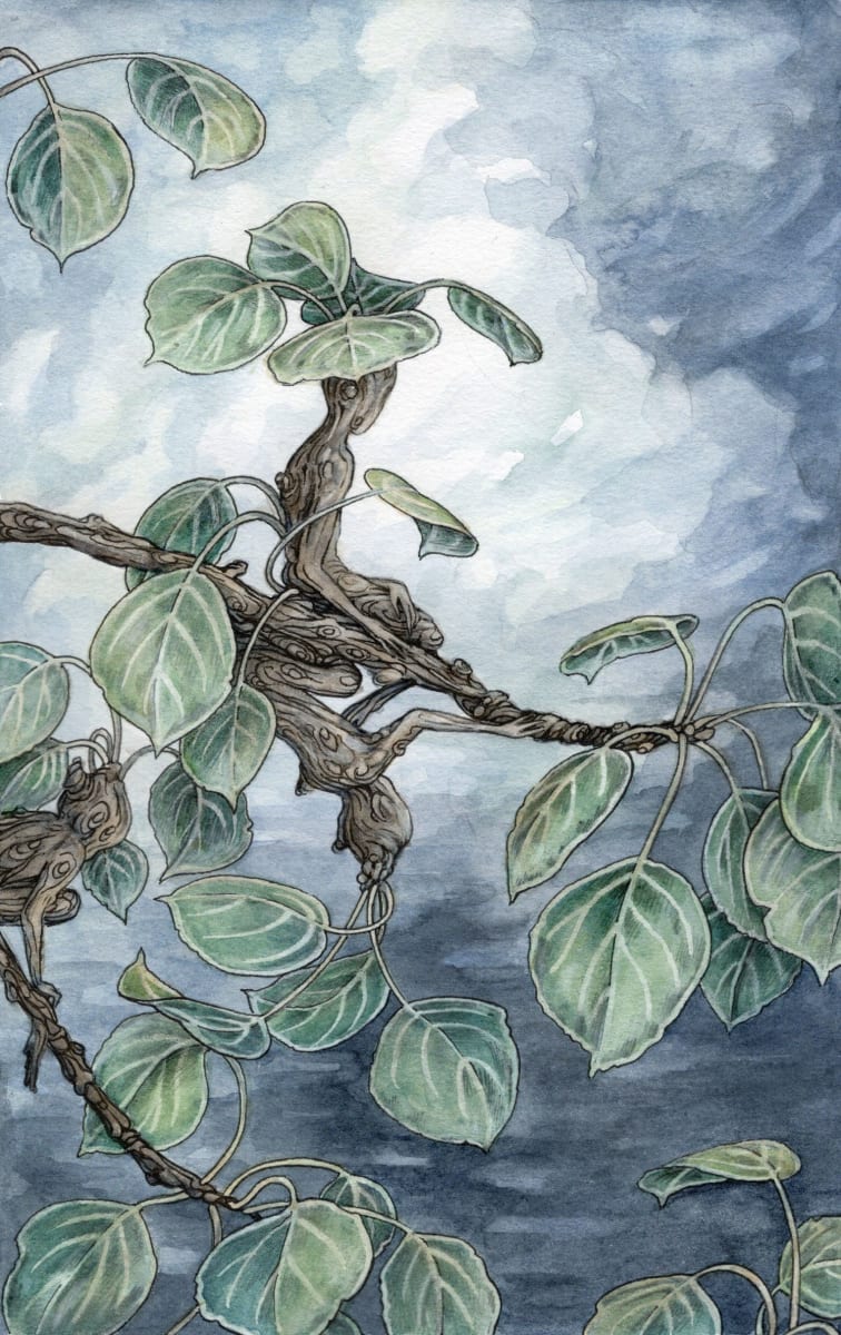 'The Aspen Sprites' by Adam Oehlers, Image 1.