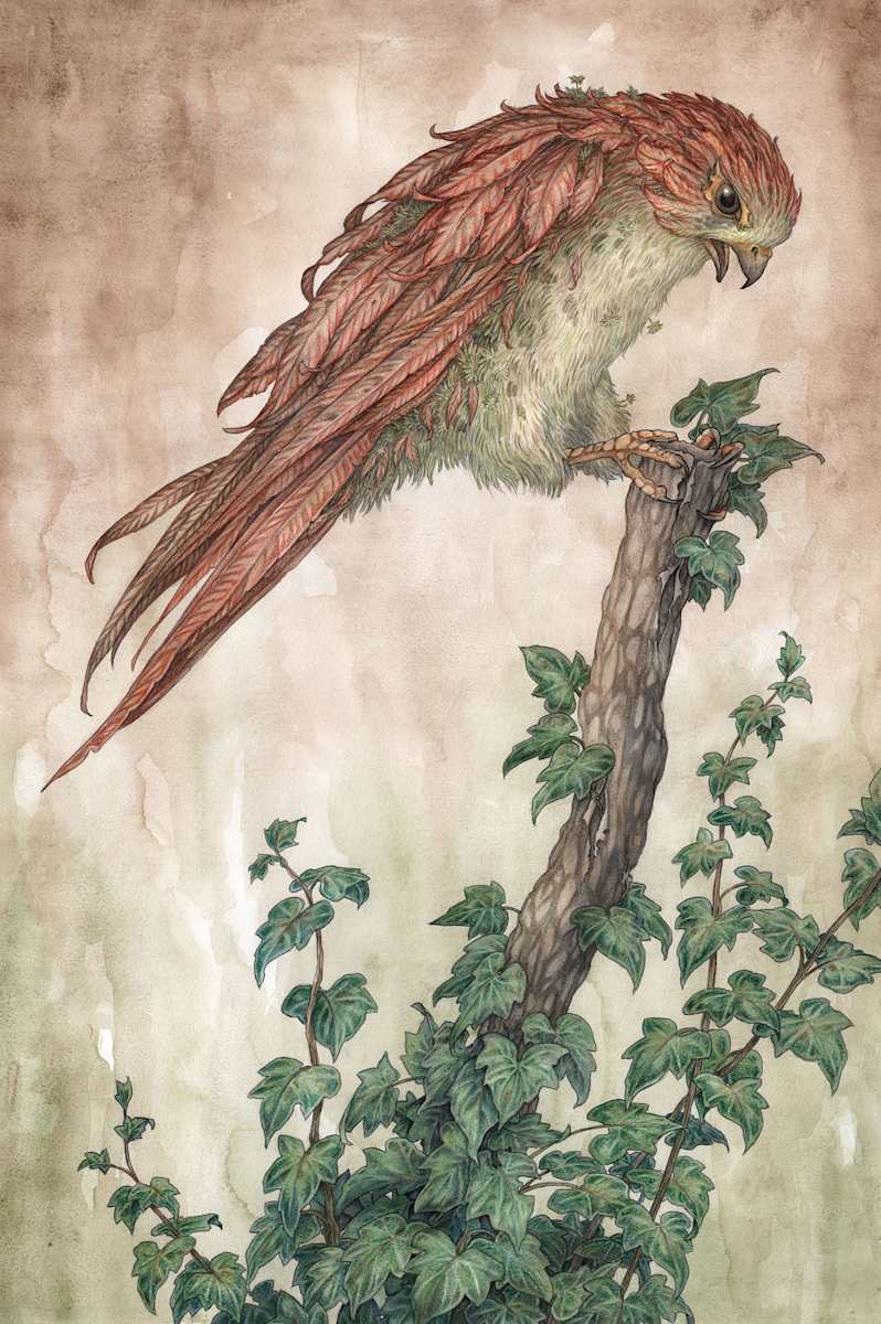 The Fallen by Adam Oehlers 