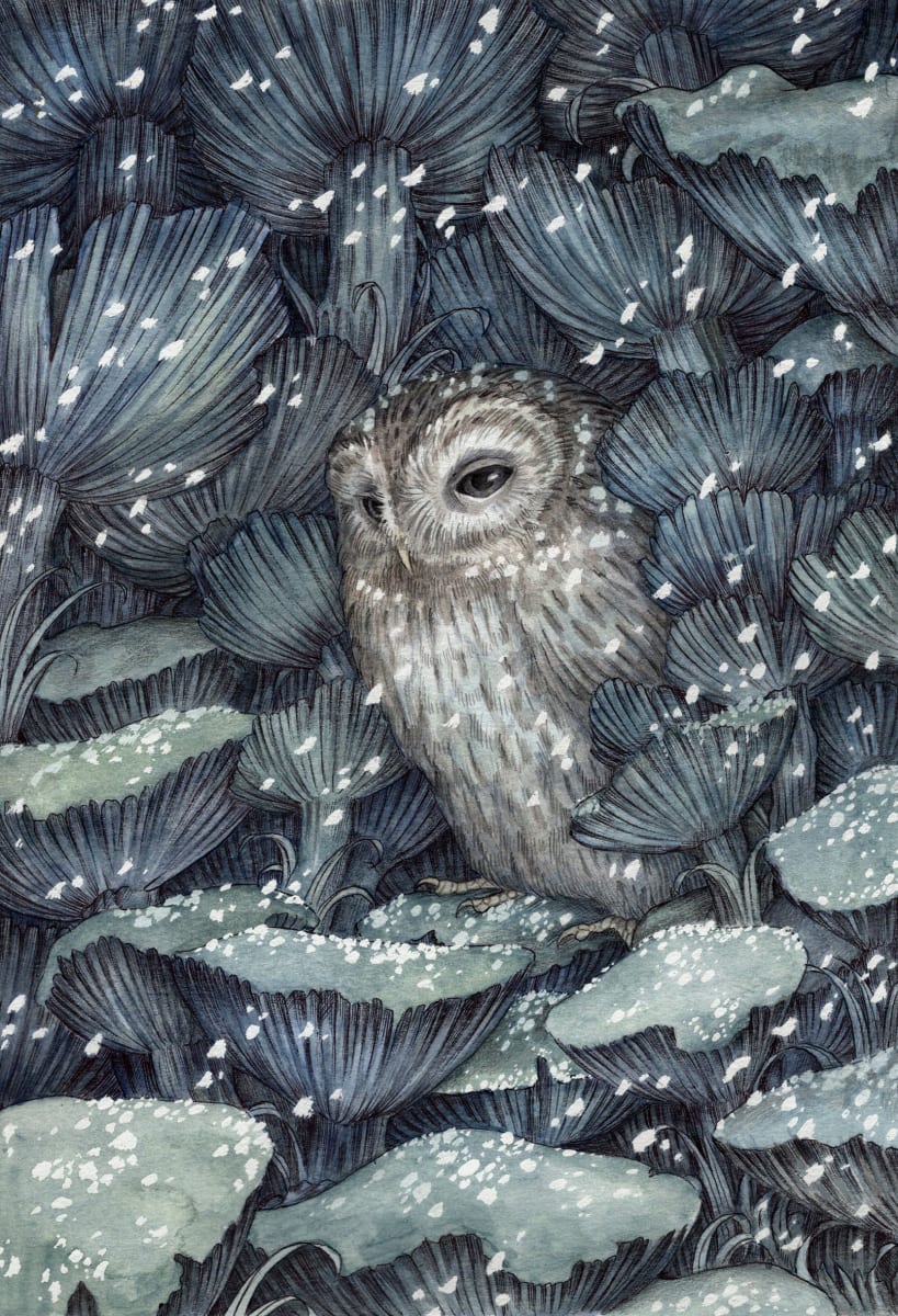 'The Milkcap Hide' by Adam Oehlers, Image 1.