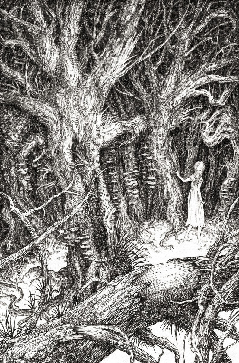 'The Woodland Door' by Adam Oehlers, Image 1.