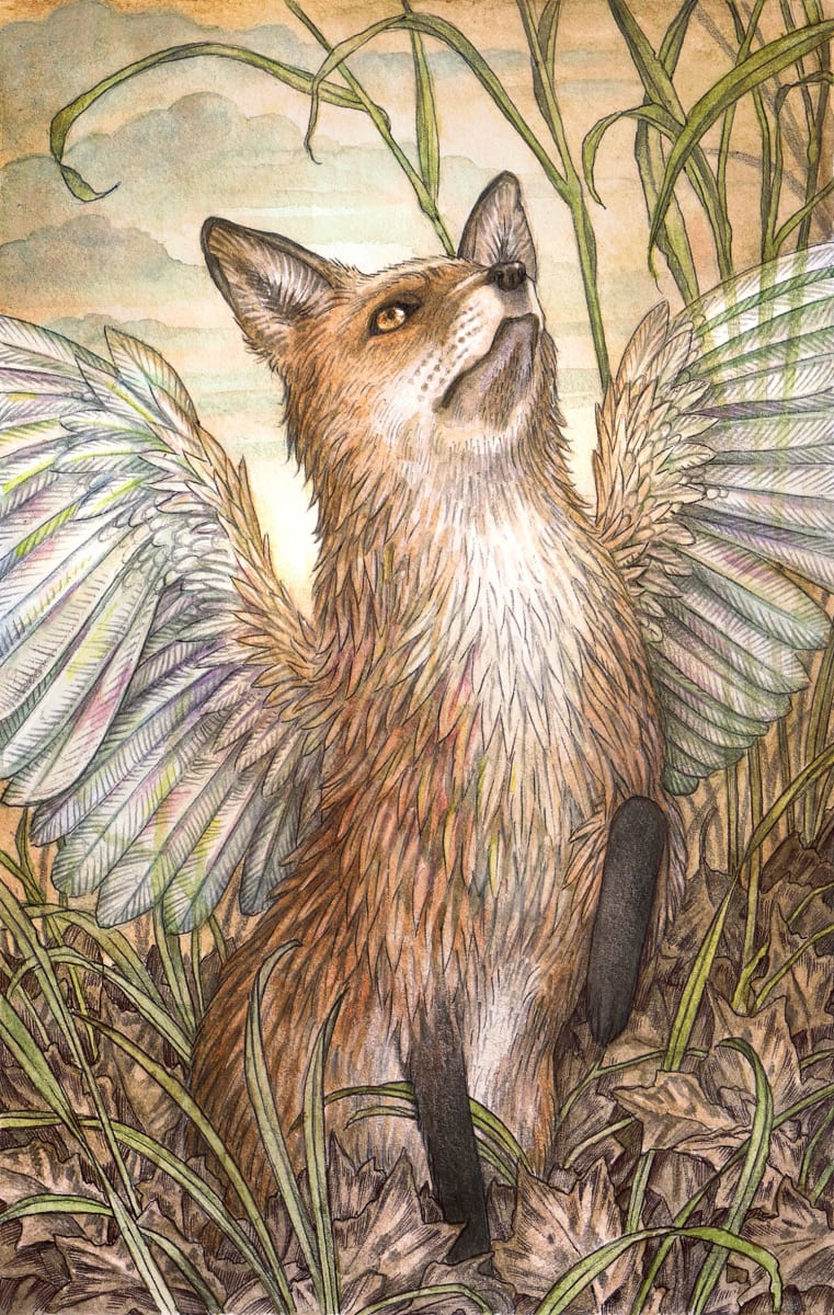 To Hunt the Sky by Adam Oehlers 