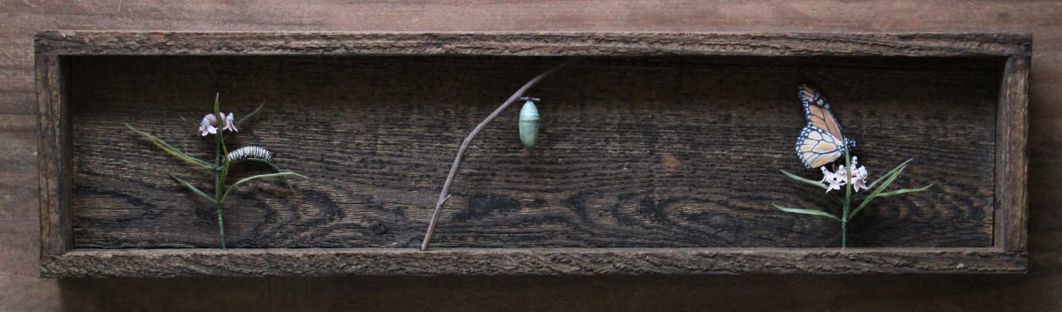 Transformation by Alexis Savopoulos, Image 1.