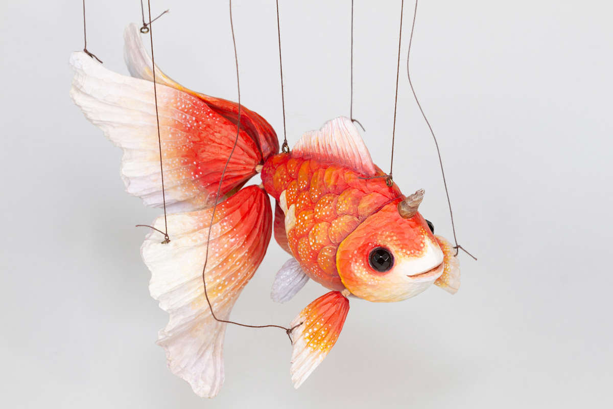 Unicorn Goldfish (Sarasa) by Mikazuki Futatsu 