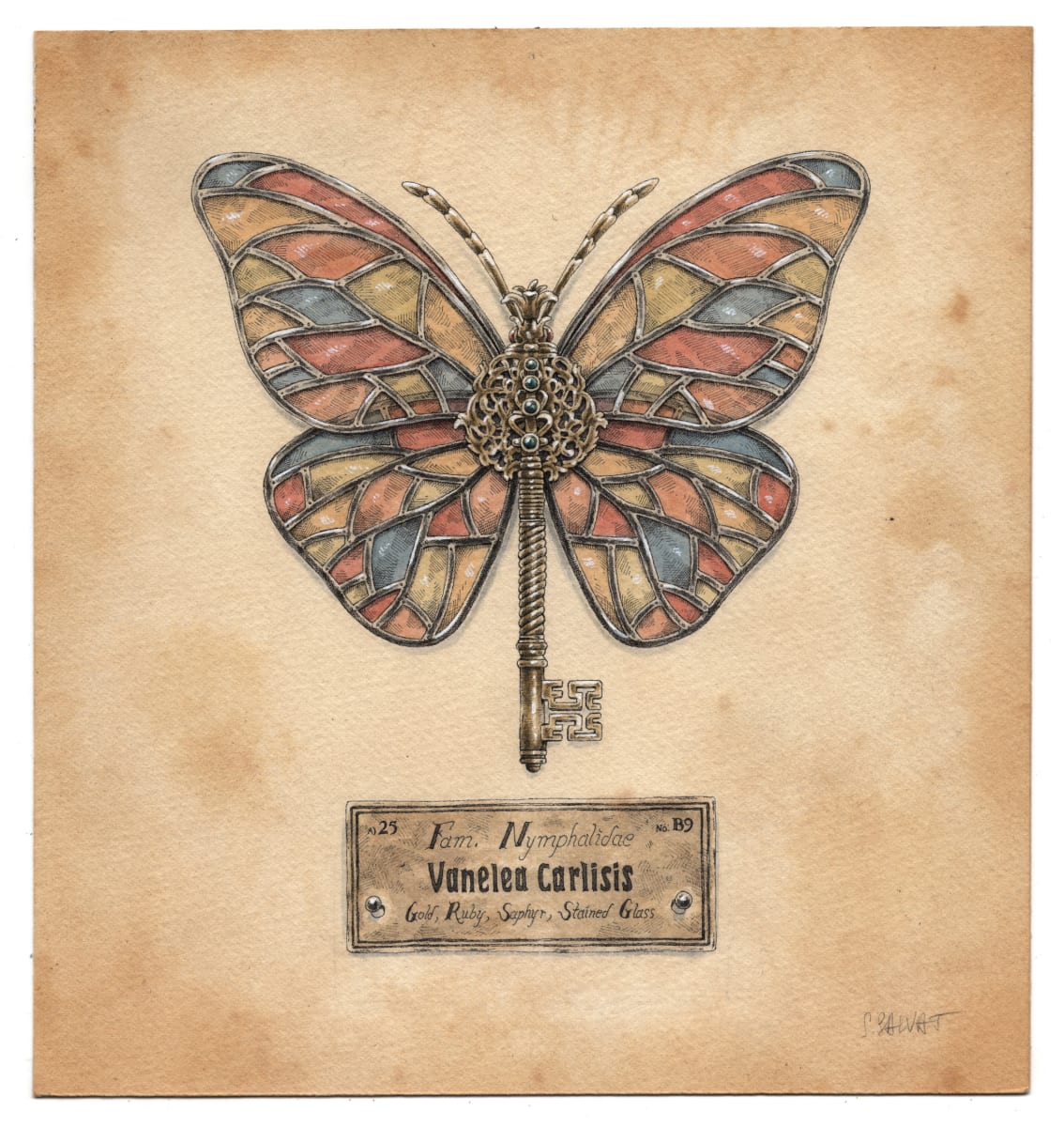 Vanelea Carlisis by Steeven Salvat, Image 2.