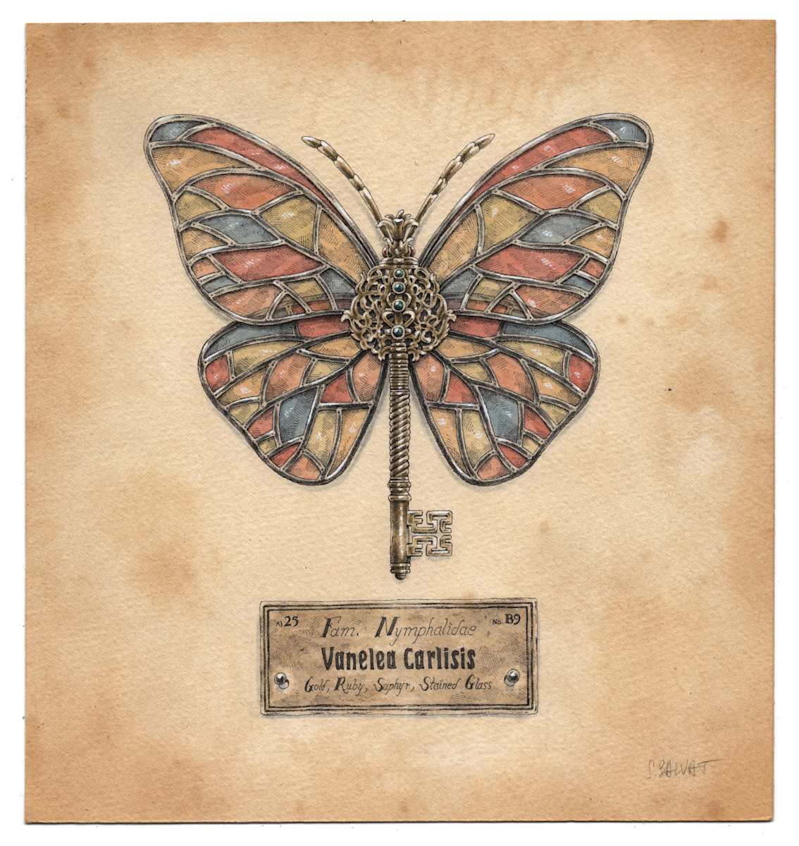 Vanelea Carlisis by Steeven Salvat, Image 2.