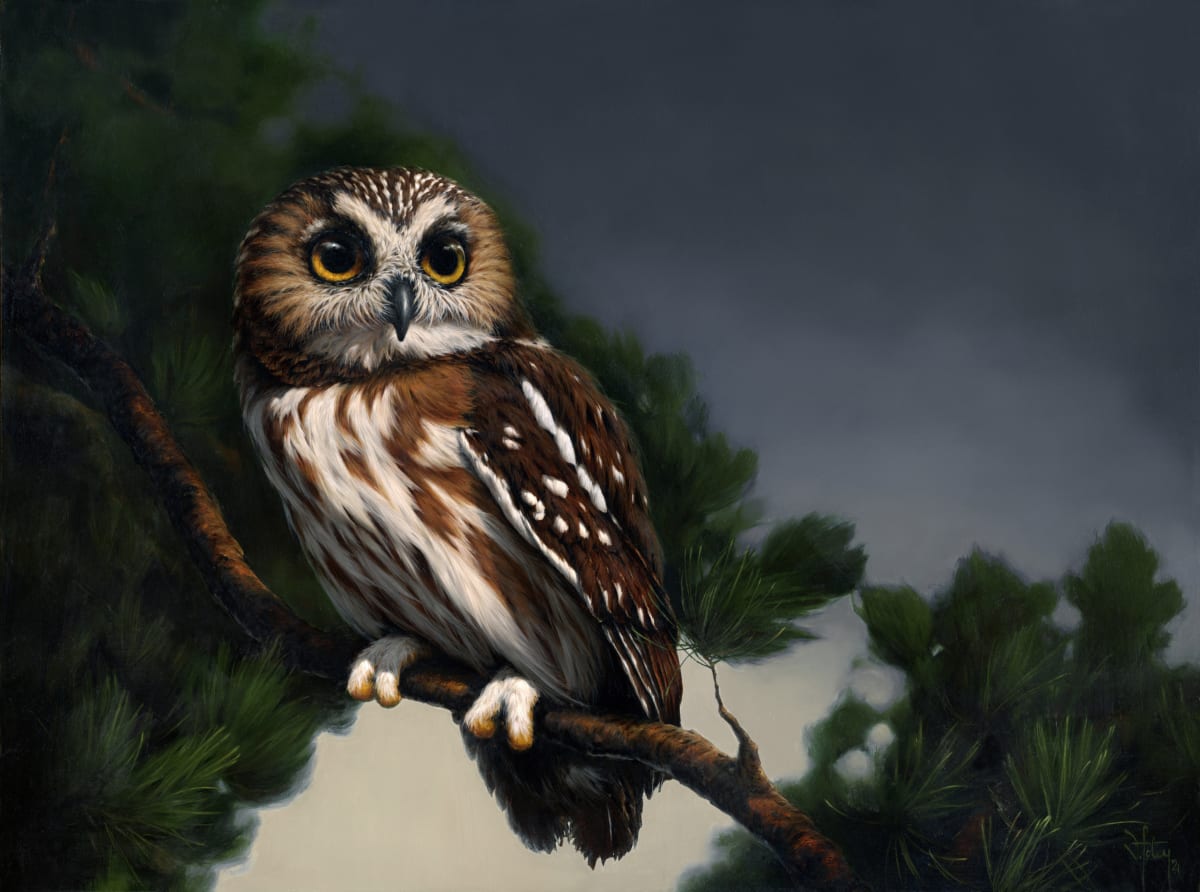 Into the Night by Vanessa Foley, Image 1.