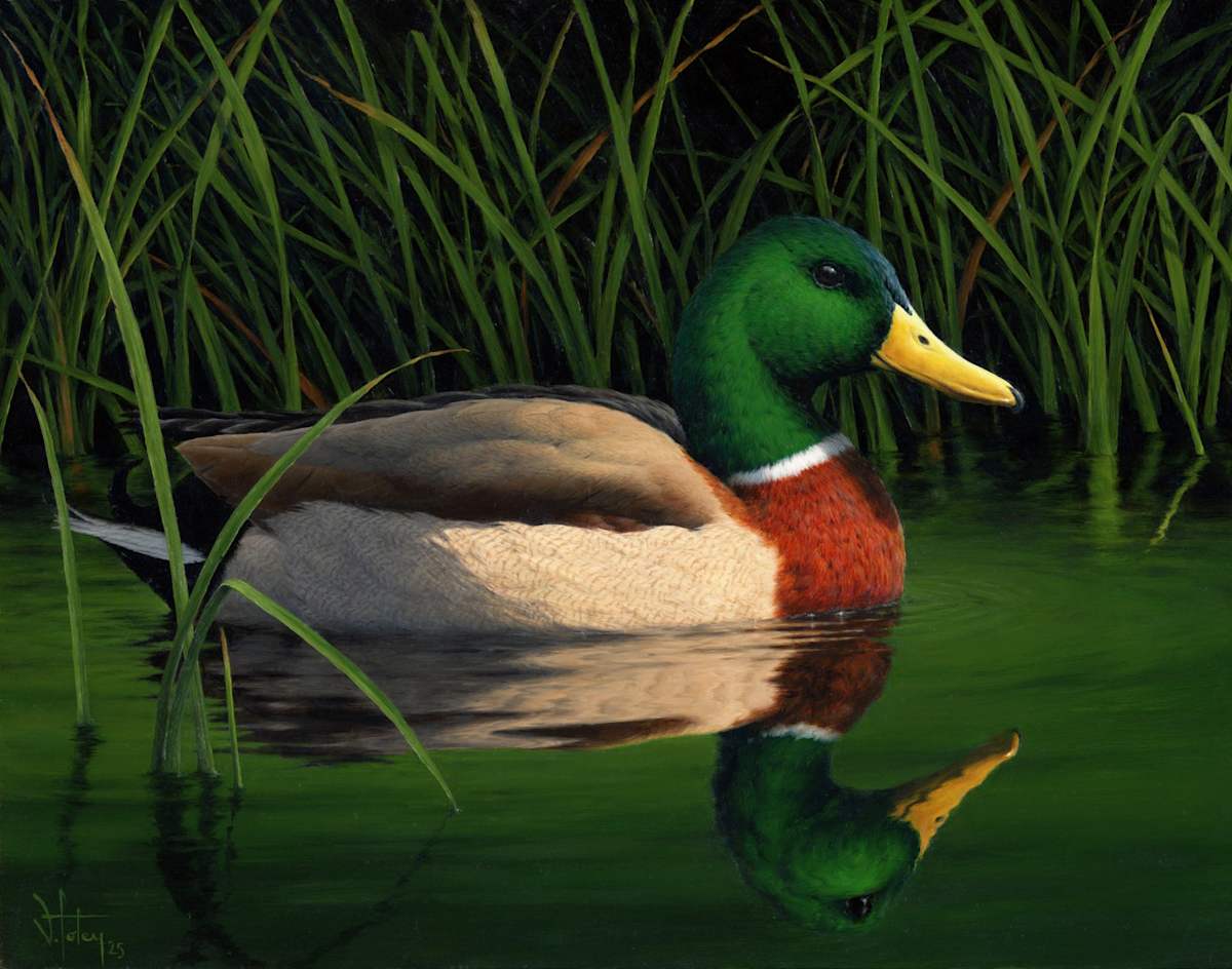 Lakeshore at Dusk by Vanessa Foley 