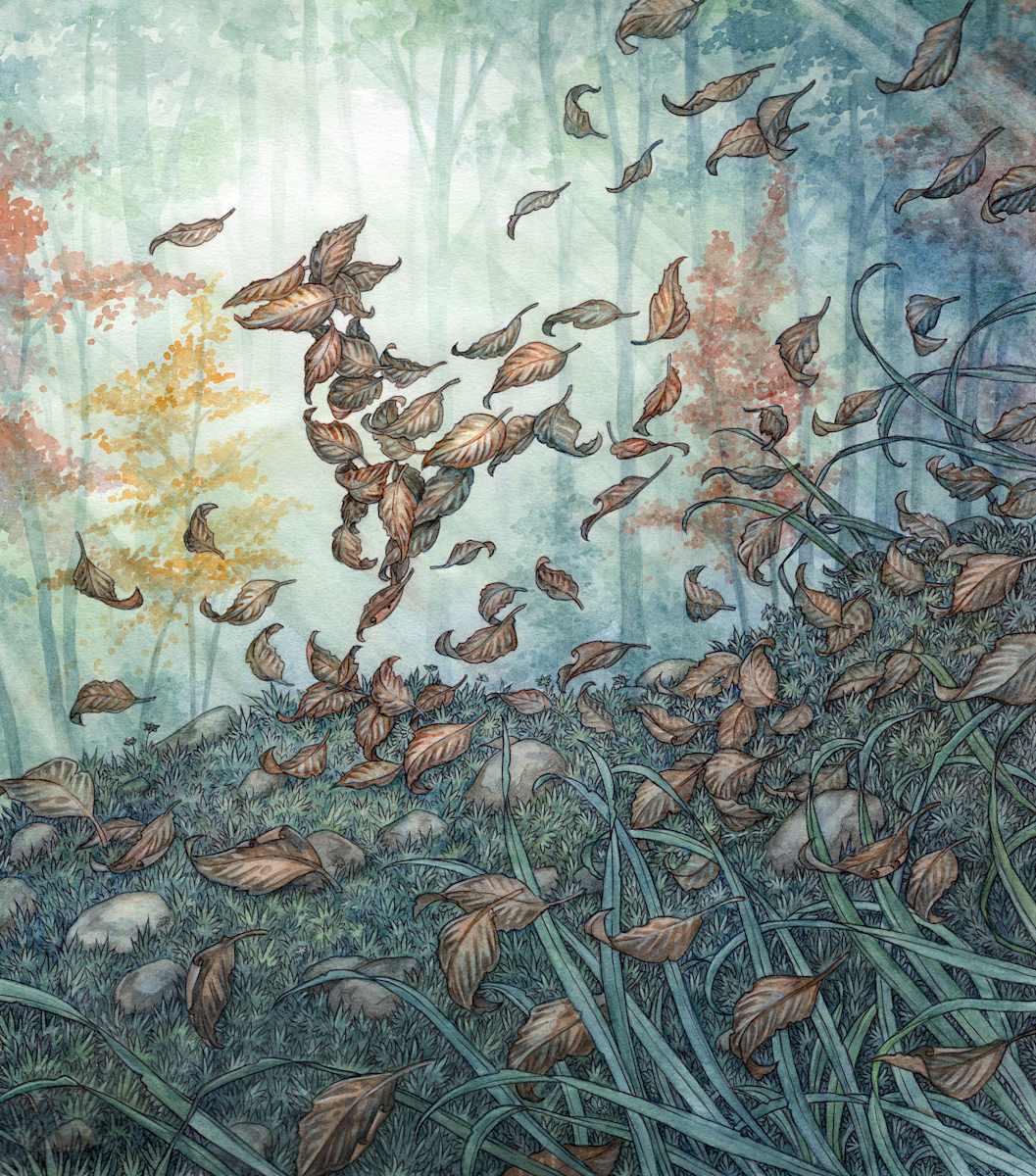 The Wind Wisp by Adam Oehlers, Image 1.