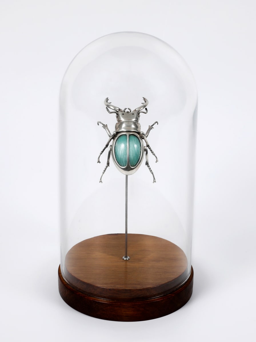 The Beatle by Christopher Conte 