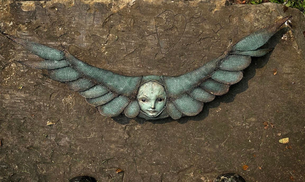 Albatross 5 by Scott Radke 