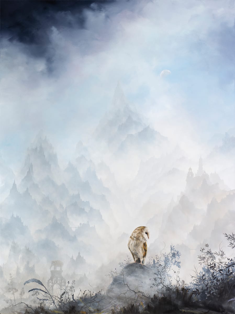 Barn Owl by Brian Mashburn 