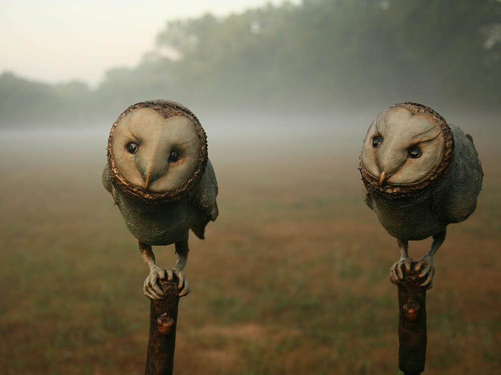 Bhava Owls 1 by Scott Radke 