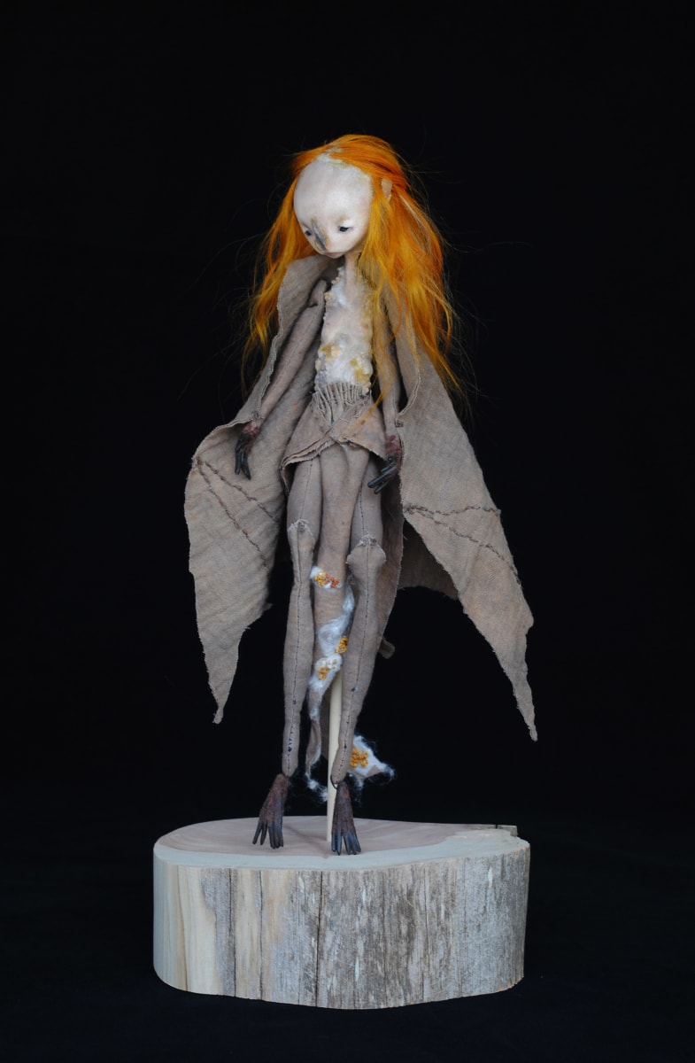 Chiroptera mycorrhiza by Karly Perez 